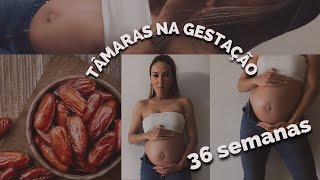 Comendo tâmaras com 36 semanas de gestação Porque comer tâmaras na gestação Parto normal e tâmaras [upl. by Latrell]