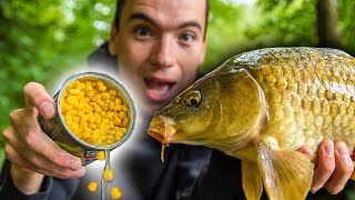 How To Catch Carp With Corn Easy and cheap bait for carp fishing [upl. by Mychal694]