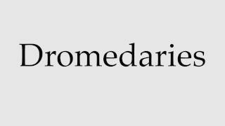 How to Pronounce Dromedaries [upl. by Quent]