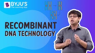 Recombinant DNA Technology Process [upl. by Beckerman]