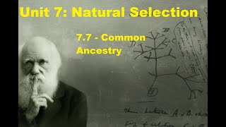 AP Biology  Unit 7  77  Common Ancestry apbio evolution naturalselection [upl. by Aicat]