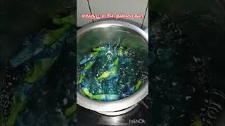 Blue tea benefit natural tea healthy tips ytshorts food tamilstar [upl. by Alleb]