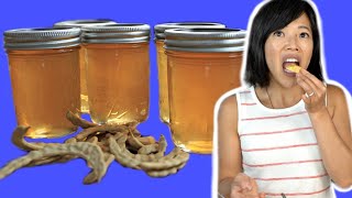 Poor Mans Honey  MESQUITE BEAN Jelly Recipe amp Taste Test [upl. by Nedyarb]