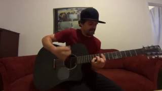 Feasting On The Flowers The Red Hot Chili Peppers acoustic cover by Joel Goguen [upl. by Earleen265]