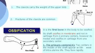 05 U Limb Clavicle Applied Anatomy Azharmedicine com [upl. by Ehcadroj322]