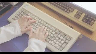 IBM Model F keyboard  quotFloss moddedquot typing ASMR [upl. by Naiditch481]