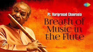 Pt Hariprasad Chaurasia  Breath Of Music In The Flute  Peaceful Morning  Indian Classical Music [upl. by Nairim]