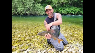 Fly Fishing Slovenia 2023 [upl. by Schulein632]