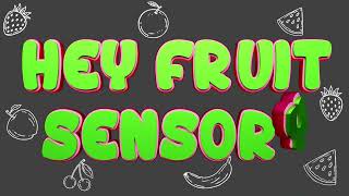 Hey Fruit Sensory Intro Logo [upl. by Enal308]