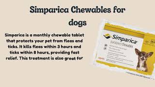 Simparica or Revolution Which Is the Better Choice for Your Furry Friend [upl. by Belamy]