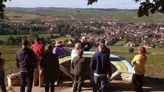 Private Tasting of Chablis Wines at the Prestigious Domaine Laroche [upl. by Divadnahtanoj]