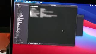 How to Check the Specs of MacBook Pro or Air [upl. by Chelsae]