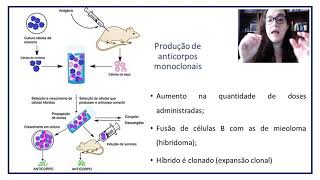 Aula 3  Produção de anticorpos monoclonais [upl. by Ahsytal]