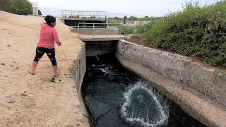 La MUJER Lanza la ATARRAYA Cerca al Río y no te Imaginas la SORPRESA que se LLEVÓ [upl. by Siwel]