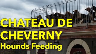 Feeding of hounds at Château de Cheverny France [upl. by Torbert]