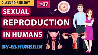 HUMAN REPRODUCTION  LEC07  CLASS10TH [upl. by Polk]