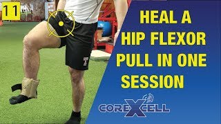 Fix a Hip Flexor Pull in One Session  The Miracle Exercise  Ep11 [upl. by Hook]