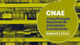 CNAE  Classificação Nacional de Atividades Econômicas  Simples e Fácil [upl. by Sineray]