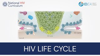 HIV  AIDS  Symptoms and Treatment  Part 47 [upl. by Jochbed]