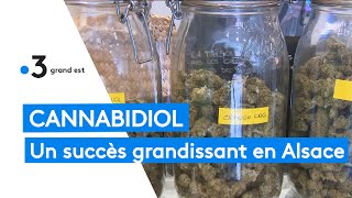 Alsace  le succès grandissant du cannabidiol CBD [upl. by Kara]