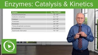 Enzymes Catalysis Kinetics amp Classification – Biochemistry  Lecturio [upl. by Nyrrek]