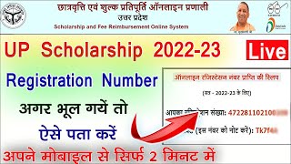 up scholarship registration number kaise pata kare 2022  up scholarship registration number forgot [upl. by Esenwahs]