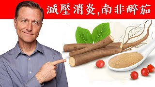 降低壓力消炎的南非醉茄吃法與劑量自然療法柏格醫生 Dr Berg [upl. by Bohannon]