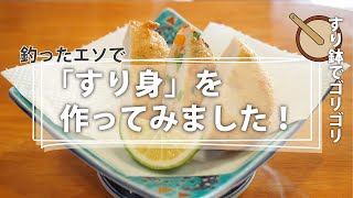 【郷土料理｜お魚レシピ】エソのすり身を作ってみました。 [upl. by Adnyc]