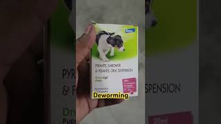 puppy ke liye Deworming syr pyrantel embonate amp Drontal puppyytshorts dhanbad [upl. by Ashlin]