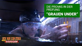 Prüfung Tag 11  quotGrauen Underquot  Die große Dschungelshow 2021 [upl. by Homer]