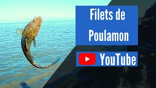 Filets de Poulamon Atlantique [upl. by Attenor]