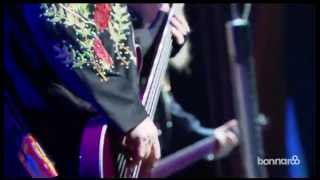 ZZ Top  Live at Bonnaroo 2013 [upl. by Wilser771]