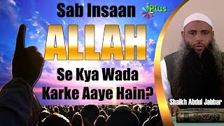 Aalame Arwah Mein Hum Sab Insan Allah Se Kya Wada Karke Aaye Hain By Shaikh Abdul Jabbar  iPlus TV [upl. by Hume]