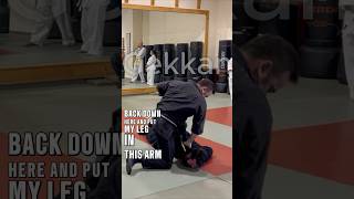 Clasical Gekkan martialarts ninjutsu bujinkanninjutsu taijutsu [upl. by Notniuq16]