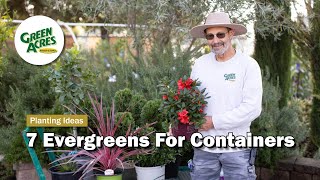 7 Evergreens For Containers [upl. by Hogarth]