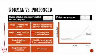 obstetrics 6 Normal labor  stages presentation position note writing [upl. by Ahsie776]