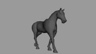 Horse Walk  Trot  Canter Animation [upl. by Artenehs]