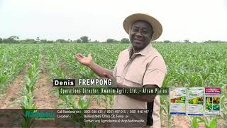 Rainbow Agrochemicals Testimonial Mr Frempong Kwanim Agric Afram Plains [upl. by Avron]