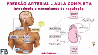 Pressão Arterial  Introdução e mecanismos de regulação  AULA COMPLETA  Prof Felipe Barros [upl. by Normalie]