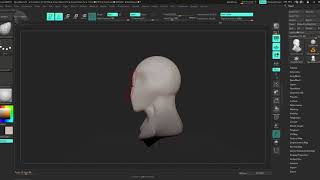 Basics of Zbrush 4R8 [upl. by Anaela772]