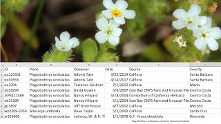 Download  export observations from Calflora [upl. by Ehcar]