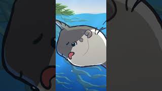 Ocean Sunfish 🌕🐡 animation original cartoon [upl. by Parsons517]