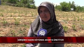 Girişimci kadın köyünde aronya üretiyor [upl. by Gschu]