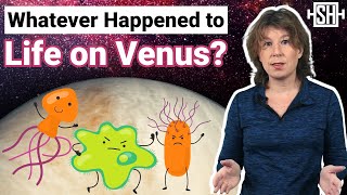 Whatever Happened to Life on Venus [upl. by Brier]