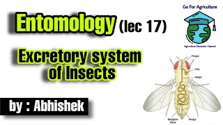 Excretory system of Insects • Entomology lec 17 • Go For Agriculture Education • icar bhu ibps [upl. by Aneehta659]