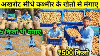 सबसे सस्ता अखरोट ₹500 किलो  Dry Fruits Wholesale Market Kashmir  AkhrotBadam  Dry Fruits Kashmir [upl. by Meer66]