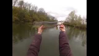 pêche aux carnassiers en hiver part 1brochetGoPro HD [upl. by Ahsait]