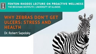 quotWhy Zebras Dont Get Ulcers Stress and Healthquot by Dr Robert Sapolsky Short [upl. by Lopez]