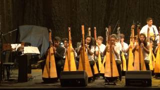 Iguazú en Concierto 2013  Orquesta de Arpas Sonidos de la Tierra Paraguay [upl. by Aiek717]