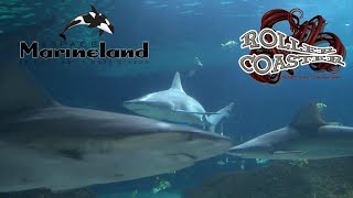 Tunnel Des Requins Marineland 2017 Antibes sharks [upl. by Eimarrej]